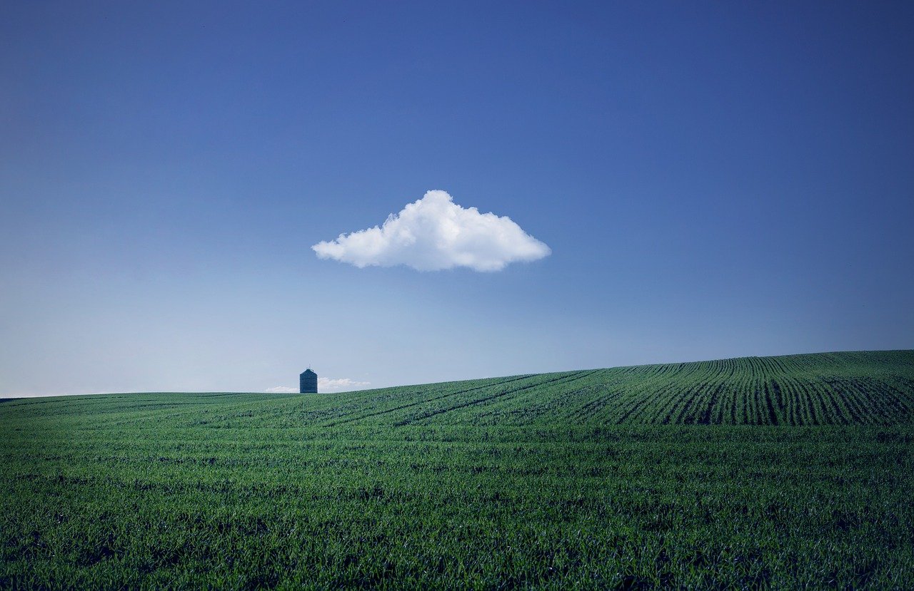 fields, farm, house, farmland, agriculture, horizon, cloud, sky, blue sky, nature, rural, countryside, landscape, farm, farm, farm, farm, farm, house, farmland, agriculture, agriculture, cloud, cloud, sky, blue sky, blue sky, blue sky, nature